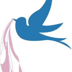 Blue Dove Dance Boutique