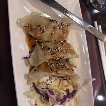 Nine Dragons Restaurant - Pork Potstickers - Chinese Near Me - Lake Buena Vista, Florida Nine Dragons Restaurant - Pork Potstickers - Chinese Near Me - Lake Buena Vista, Florida