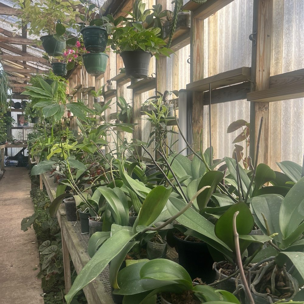 Jarrett's Jungle - Florists Near Me - West Columbia, South Carolina