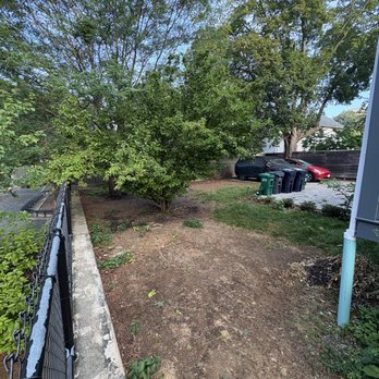 Felipe Landscaping - before photo (dead sod, shrub, no fence). - Landscaping Near Me