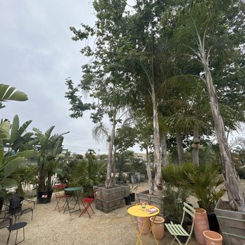 Cafecita - Outdoor seating - Coffee & Tea Near Me - Marina del Rey, California Cafecita - Outdoor seating - Coffee & Tea Near Me - Marina del Rey, California