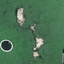Mount Freedom Golf - Seriously ?
