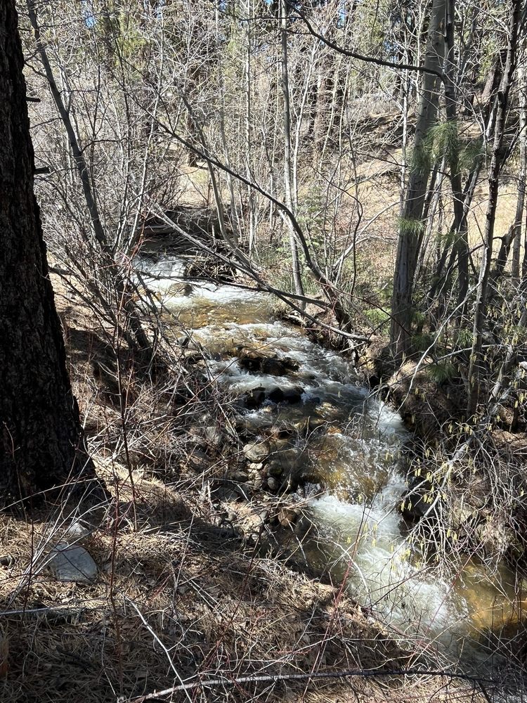 Galena Creek Trail Logo