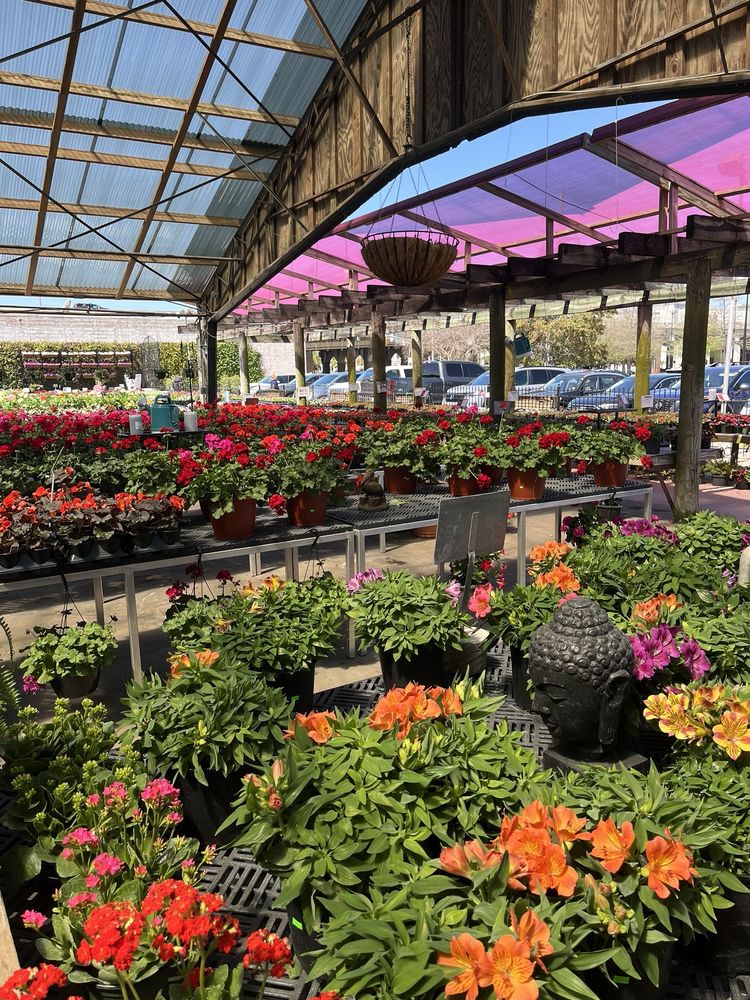 PERINO’S HOME & GARDEN CENTER - Updated July 2025 - 183 Photos & 58 ...