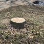 Photo of Full Circle Tree & Shrub