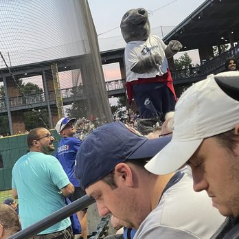 Huntington Park - Seal Mascot - Stadiums & Arenas Near Me - Columbus, Ohio Huntington Park - Seal Mascot - Stadiums & Arenas Near Me - Columbus, Ohio