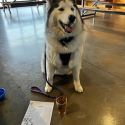 Dead Armadillo Brewery