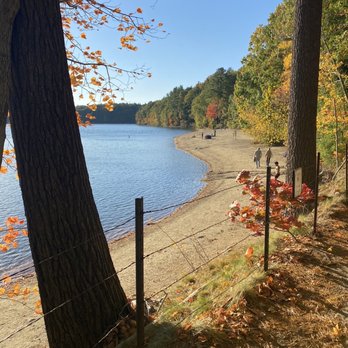 Walden Pond State Reservation - Parks Near Me - Concord, Massachusetts