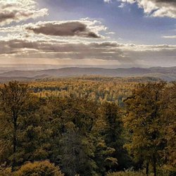 Nationalpark Harz - Der Harz, unendliche Wälder (08/2022)