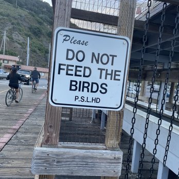 Avila Beach Pier - Beaches Near Me - Avila Beach, California Avila Beach Pier - Beaches Near Me - Avila Beach, California