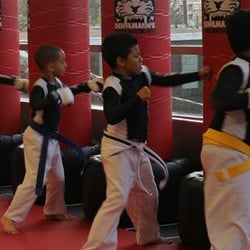 Tiger Schulmann's Martial Arts - Englewood