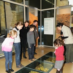 SauveTerre Musée de Préhistoire - Les familles au musée