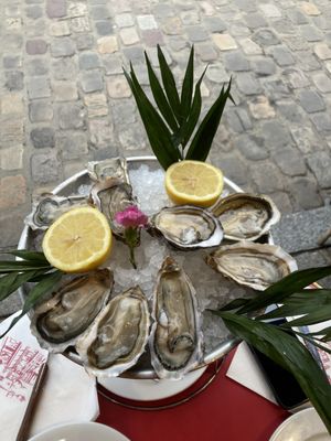 Au Cadet de Gascogne by null