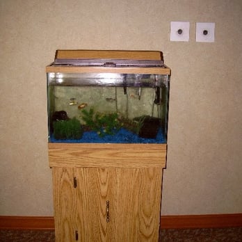 Majestic Aquatics - neglet - Aquarium Services Near Me - Marlton, New Jersey