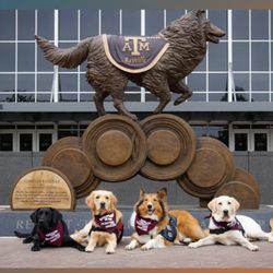 McPherson Endodontics - Community Pawtner with Patriot Paws Service Dogs Aggieland