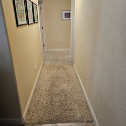 Allstar Carpet Cleaning