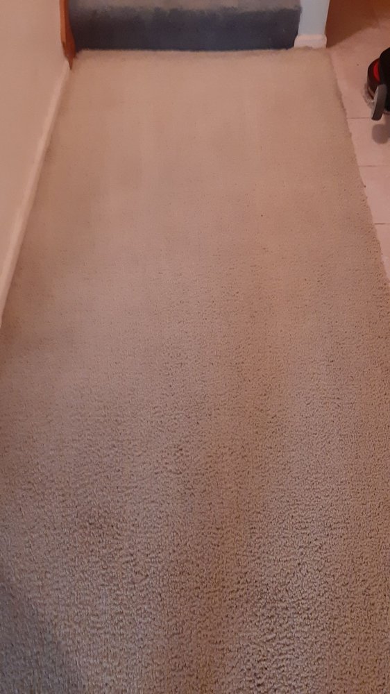 AIR FRESH CLEANING SYSTEMS Updated June 2024 23 Photos & 13 Reviews