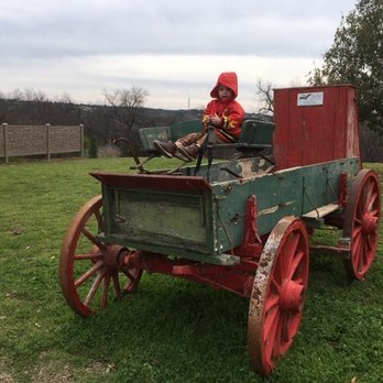 Live Oak B&B - Buckboard wagon just for fun. - Bed & Breakfast Near Me - Glen Rose, Texas Live Oak B&B - Buckboard wagon just for fun. - Bed & Breakfast Near Me - Glen Rose, Texas