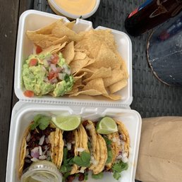 Queso, guacamole, and pork street tacos from food truck.