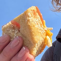 Bullfrog Bagels - Eastern Market - Egg and cheese and tomato