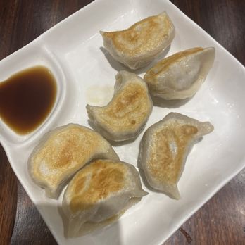 Kungfu Kitchen - Pan-Fried Pork Dumplings - Dim Sum Near Me - Orlando, Florida