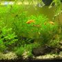 Photo of Kee's Aquarium & Pets