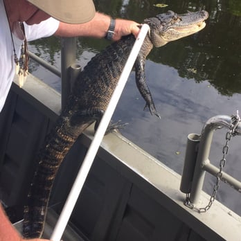 Ultimate Swamp Adventures - Tours Near Me - Westwego, Louisiana Ultimate Swamp Adventures - Tours Near Me - Westwego, Louisiana