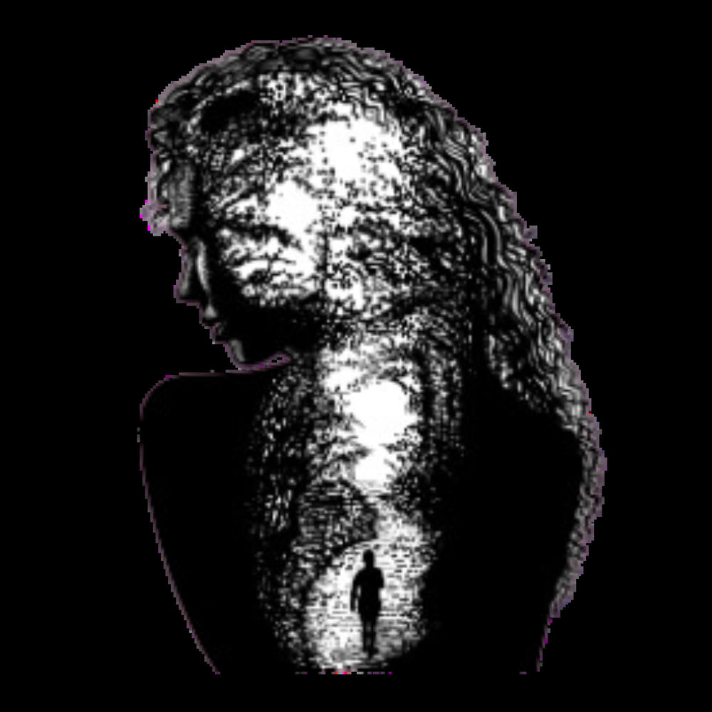 An Insightful Journey - social services organization in Modesto, CA