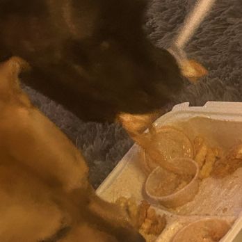 Raising Cane's Chicken Fingers - my doggy's - Fast Food Near Me - Johnston, Rhode Island Raising Cane's Chicken Fingers - my doggy's - Fast Food Near Me - Johnston, Rhode Island