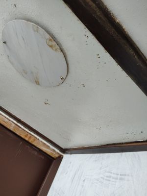 Shangri-la Boat Tour by null