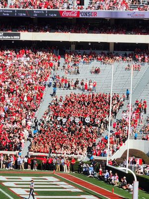Sanford Stadium by null