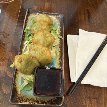 5ive Spice - Veggie Dumplings - fried - really good - Vietnamese Near Me - New York, New York