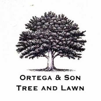 Ortega & Son - tree and lawn - Tree Services Near Me Ortega & Son - tree and lawn - Tree Services Near Me