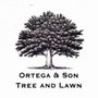 Photo of Ortega & Son