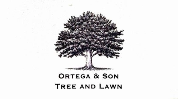 Ortega & Son