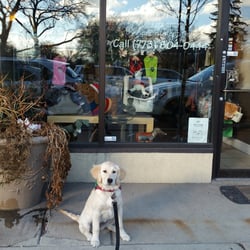L Pooch Salon