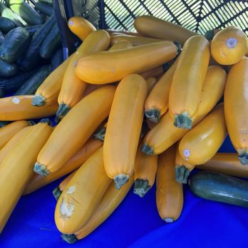 Long Sunday Market - Vibrant yellow zucchini. - Farmers Market Near Me - Stafford, Virginia Long Sunday Market - Vibrant yellow zucchini. - Farmers Market Near Me - Stafford, Virginia