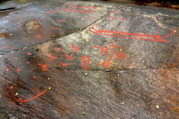 Vitlycke Museum by null