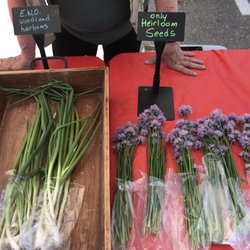 Village Pointe Farmers Market - Heirloom green onions and beautiful chives with their purple blooms at Iowana Farms.
