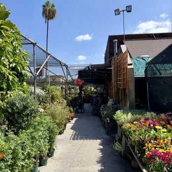 Sunset Nursery - Nurseries & Gardening Near Me - Los Angeles, California Sunset Nursery - Nurseries & Gardening Near Me - Los Angeles, California