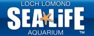 SEA LIFE Loch Lomond Aquarium by null