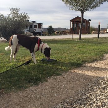 Carlsbad Koa - Campgrounds Near Me - Carlsbad, New Mexico