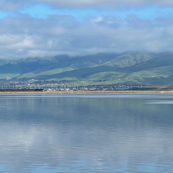 Alviso Marina County Park - You can see the train from time to time. - Parks Near Me - Alviso, California