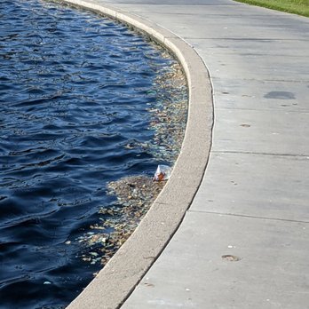 Don Knabe Community Regional Park - Trash in the water by the sidewalk - Parks Near Me - Cerritos, California Don Knabe Community Regional Park - Trash in the water by the sidewalk - Parks Near Me - Cerritos, California