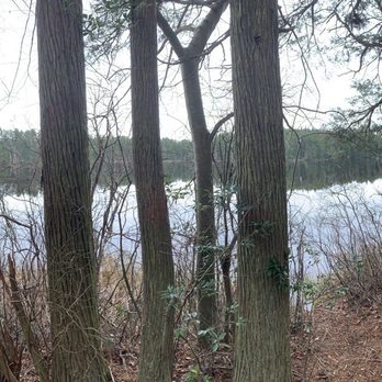 Wells Mills County Park - The lake - Parks Near Me - Waretown, New Jersey Wells Mills County Park - The lake - Parks Near Me - Waretown, New Jersey