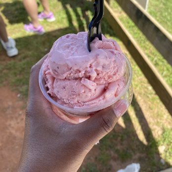 Southern Belle Farm - The best homemade ice cream - Pick Your Own Farms Near Me - McDonough, Georgia Southern Belle Farm - The best homemade ice cream - Pick Your Own Farms Near Me - McDonough, Georgia