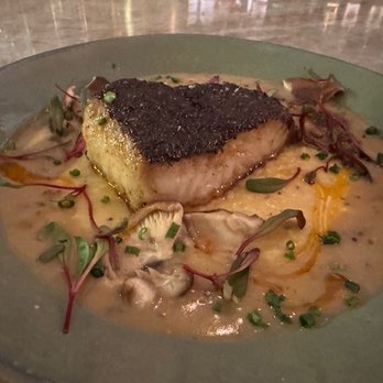 Leo Annapolis - Blue catfish. Lovely entree. - Bars Near Me - Annapolis, Maryland Leo Annapolis - Blue catfish. Lovely entree. - Bars Near Me - Annapolis, Maryland