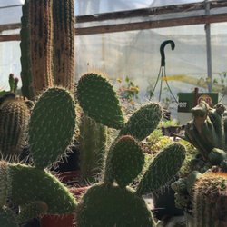 Greenlot Nursery