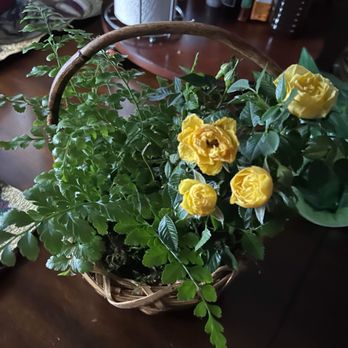 Serendipity Flowers - Flower plant - Florists Near Me - Santa Ana, California Serendipity Flowers - Flower plant - Florists Near Me - Santa Ana, California