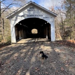Turkey Run State Park - Remi